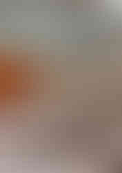 1615893518178-1