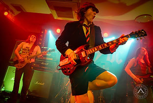 angus 1.jpg
