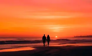 Sin título-2.webp