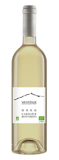 CAROLINE-VENTOUX-BLANC (002)-Photoroom.png