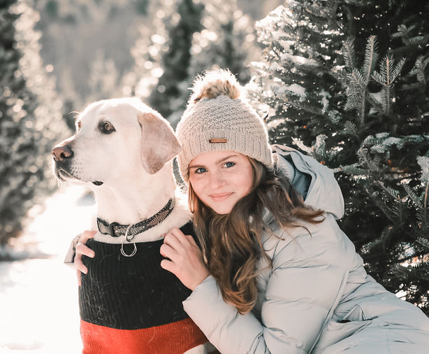 Yellow lab and family pose at a Christmas tree farm