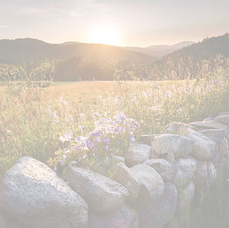 sunset rock wall and wildflowers_edited_edited_edited.jpg
