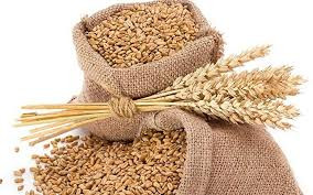 Wheat Flour