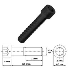 Paraf Allen Cil M5X55 (Und)