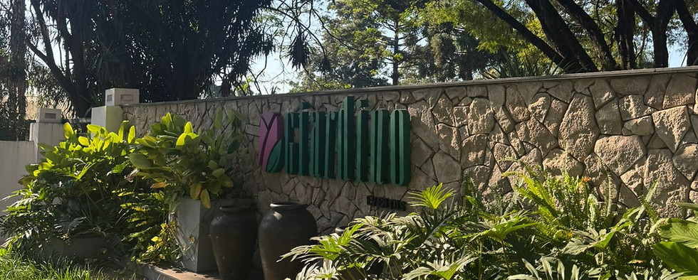 MF_Giardino 2