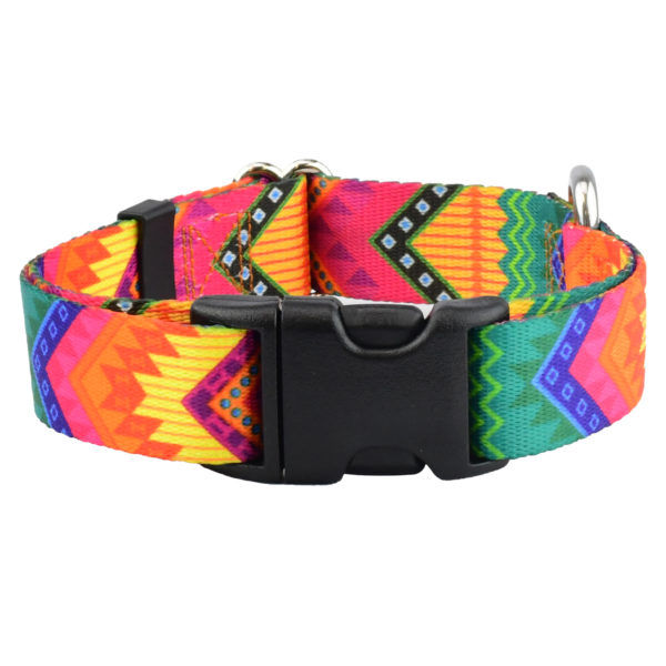 A buckle or quick-release clip. Best used for holding identification tags and everyday wear on well-behaved dogs.