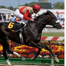 ChelokeeTheThoroughbred