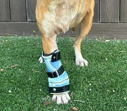 Wrist Brace_edited_edited_edited.jpg