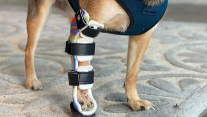 Carpal Brace