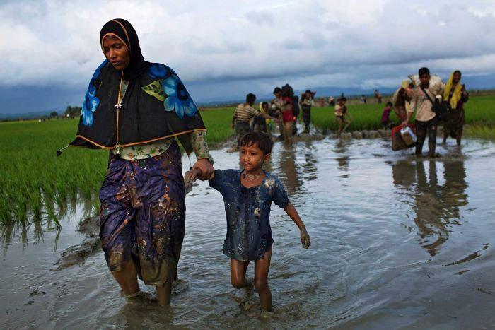 A Rohingya woman walks with a child in a rice field