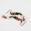 Thumbnail: Boho Pearl Dangles