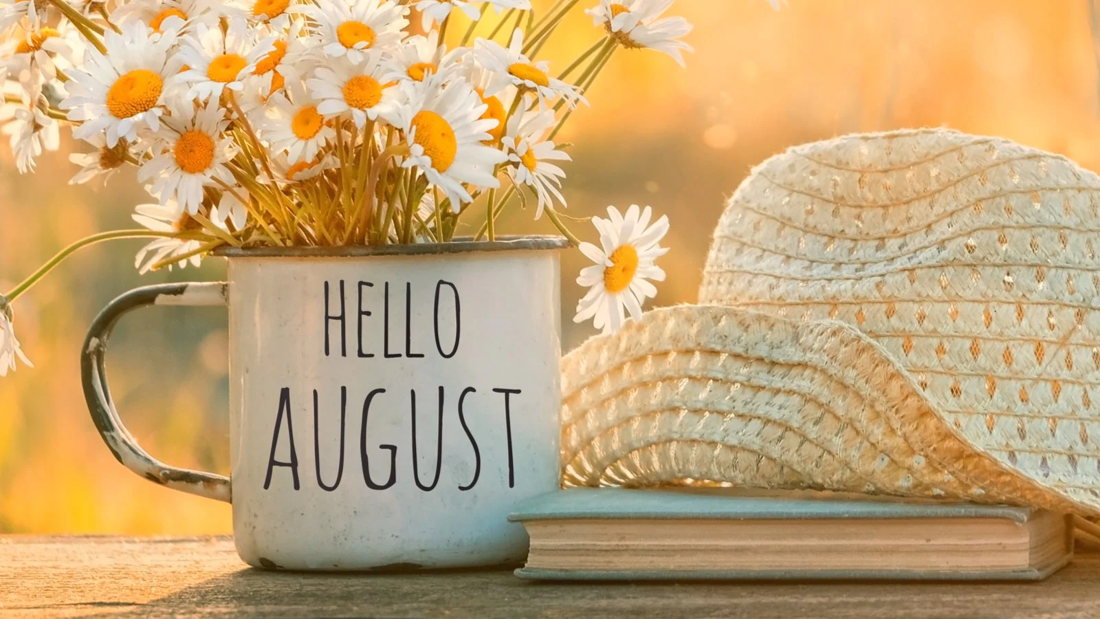 August Community Meeting 2023