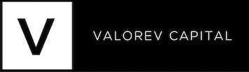 Developer Logo Valorev.jpg