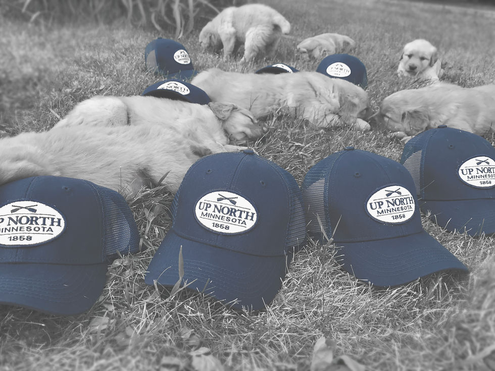 Hats & Puppies