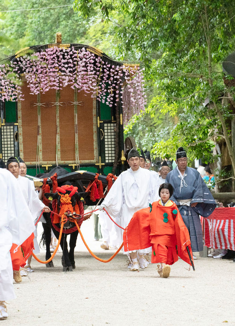 下鴨様ご専有 公式】下鴨神社（賀茂御祖神社）｜京都・世界遺産の古社で心を整える参拝