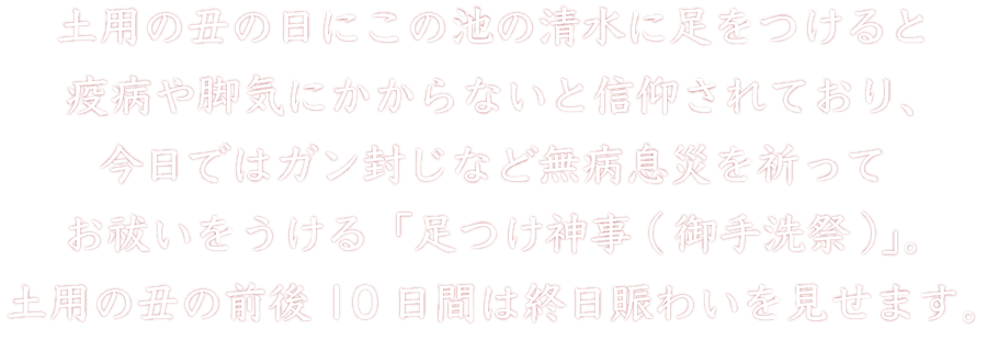 mitarashi_top_read.png