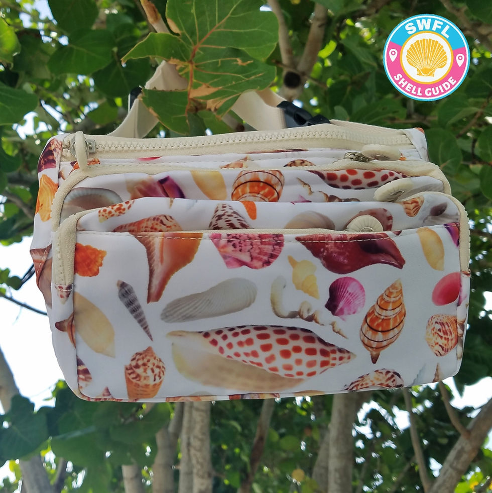 Thumbnail: 5-Zipper Compartment Waist Bag Fanny Pack - Seashells of SWFL
