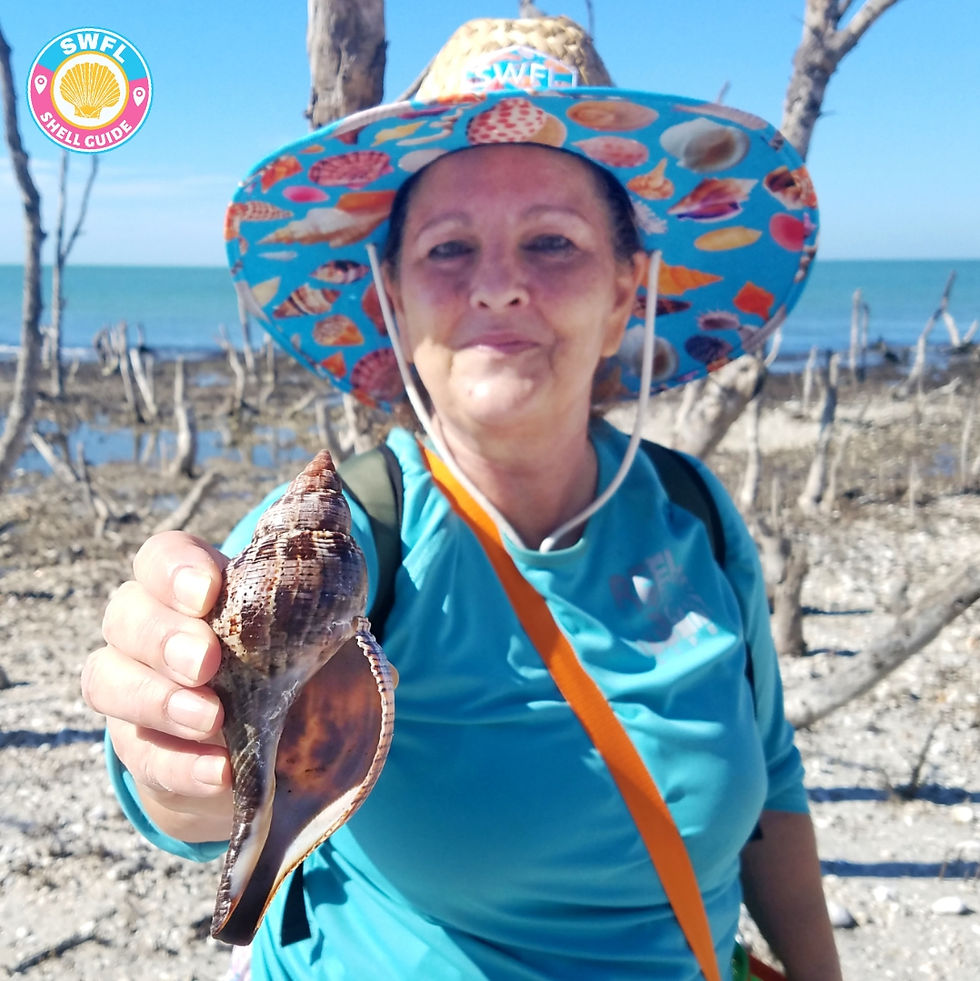 SWFL Shell Guide Lifeguard Hat