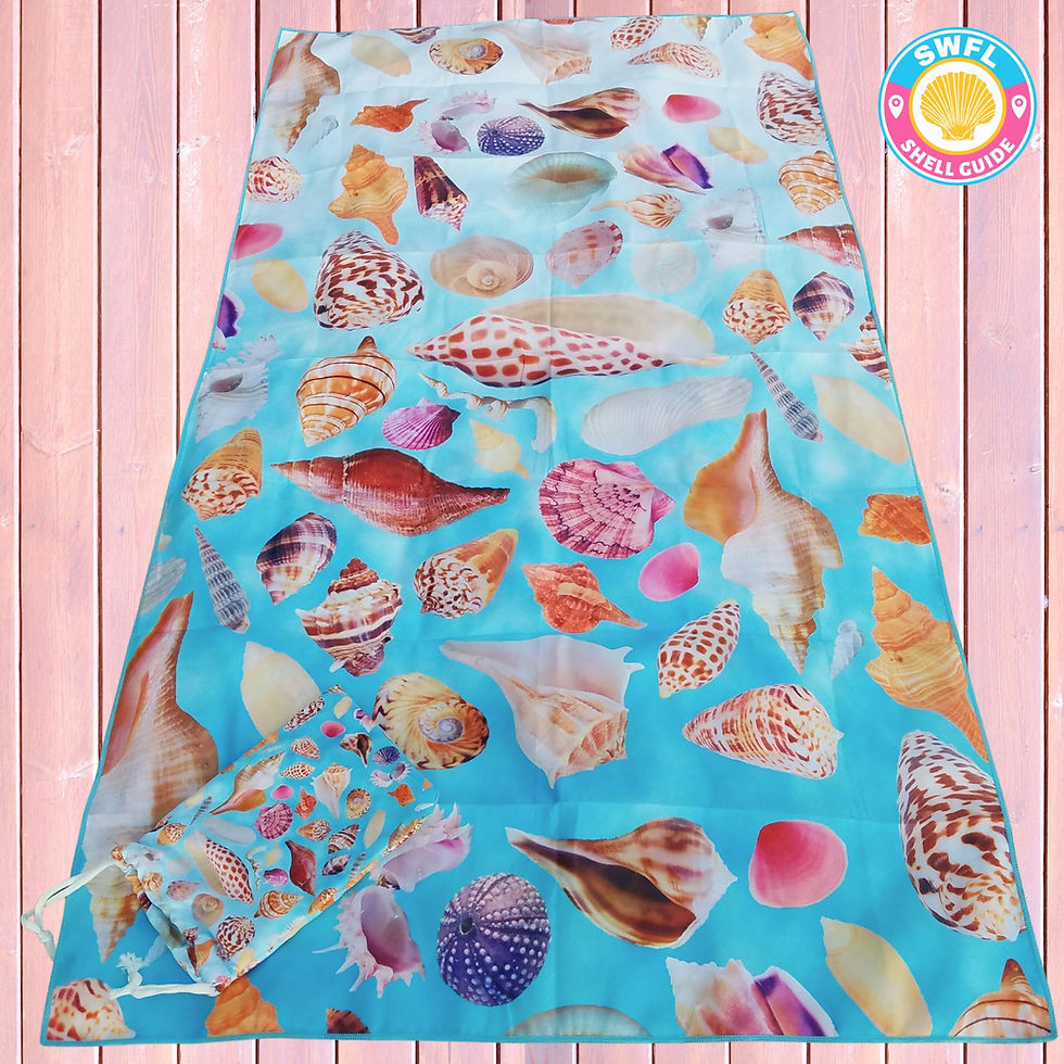 Thumbnail: Towel - Microfiber Beach Towel - SWFL Seashells