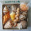 Thumbnail: Collectible SWFL Sea Shell Package - Chocolate Alphabet Cone