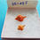 Thumbnail: Collectible SWFL Sea Shell Package -  Two Rose Murex