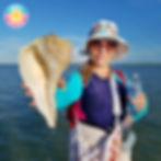 Best Shelling Tour Naples Marco Island Ten Thousand Islands (12)