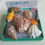 Thumbnail: Collectible SWFL Sea Shell Package - Starter Kit