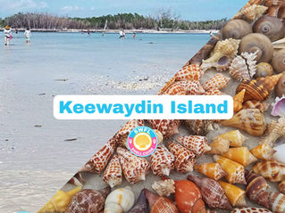 Terrain and shells of Keewaydin Island SWFL Shell Guide shelling tour