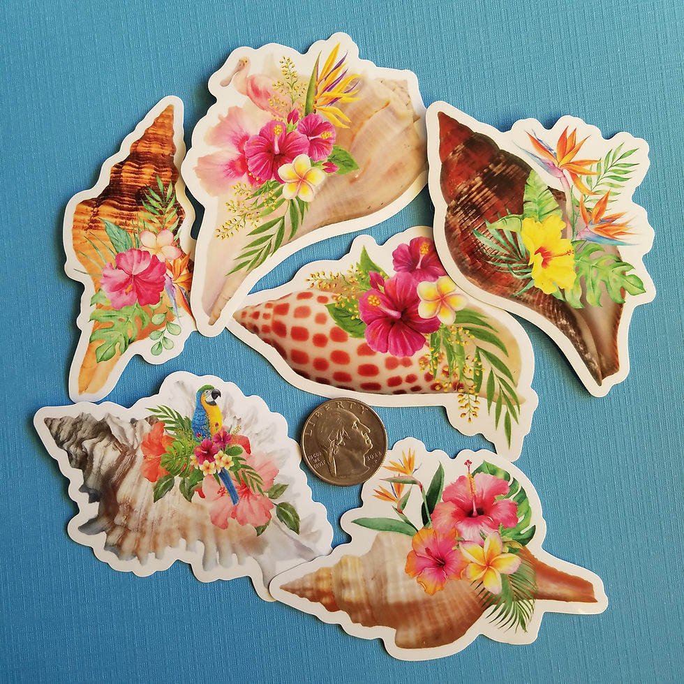Thumbnail: Sticker - Bloom N Shells - Junonia