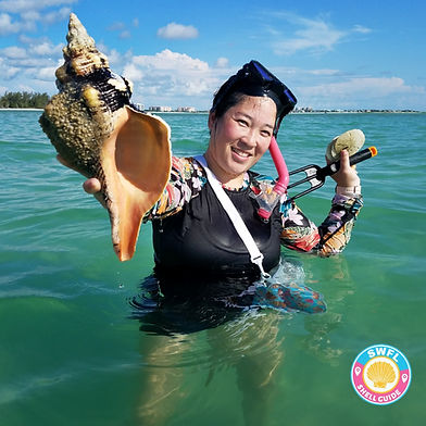 Snorkel Keewaydin Shell Tours