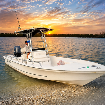 Keewaydin Sunset Eco Tour SWFL Shell Guide.png