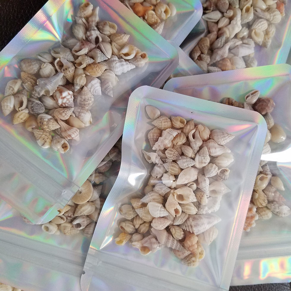 Thumbnail: BULK SHELLS! Mini Bag of Minis