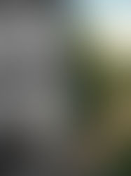 Депресія: як знайти перший крок, коли нічого не хочеться?