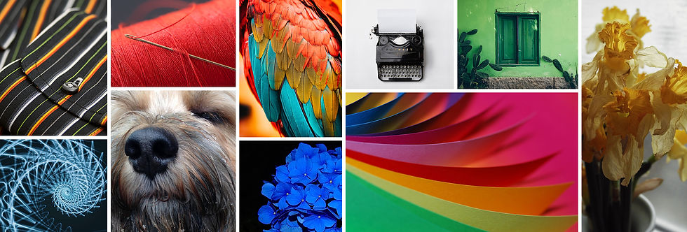 Artsy inspiration collage of colorful, unique images inspired by the elements of art.