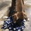 Thumbnail: Snuffle Mat