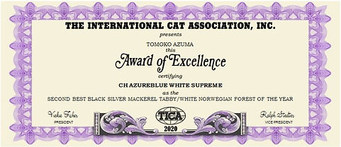 %E3%82%B7%E3%83%A5%E3%83%97%E3%82%B7%E3%