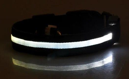 Miniatura: Nylon LED Pet Luminous Collar