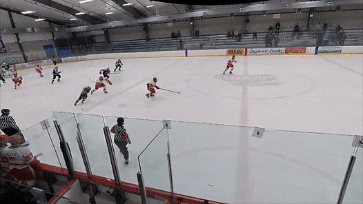 Gunnar highlite Small Gif.GIF