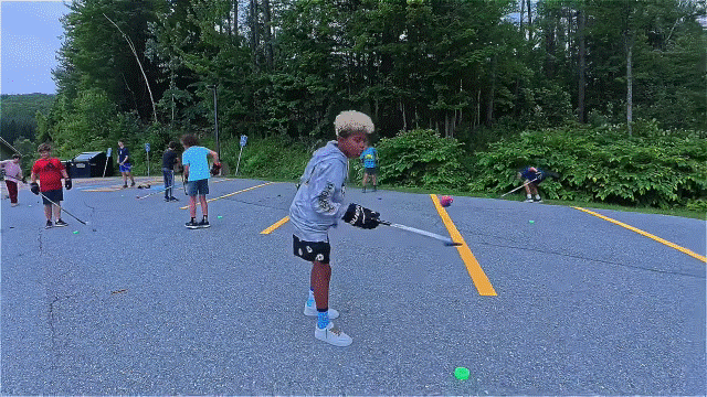 Puck Handle Gif.GIF