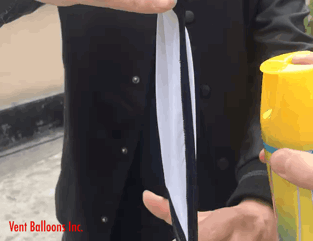 IMG_2562.gif
