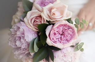purple flowers