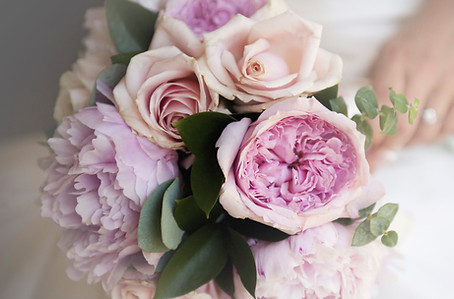 purple flowers