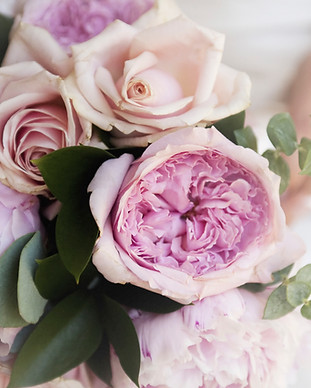 Fleurs pourpres