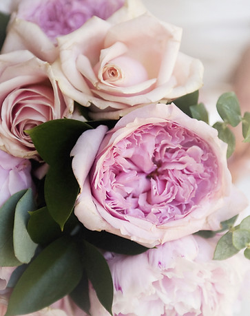 purple flowers