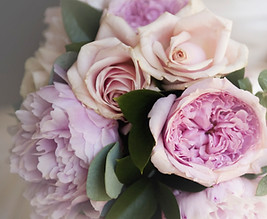 Fleurs pourpres