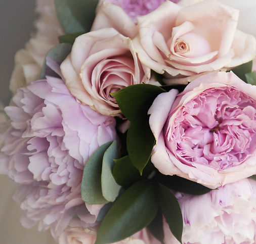 purple flowers