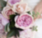 Fleurs pourpres