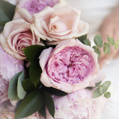 purple flowers
