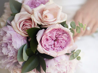 Purple Flowers