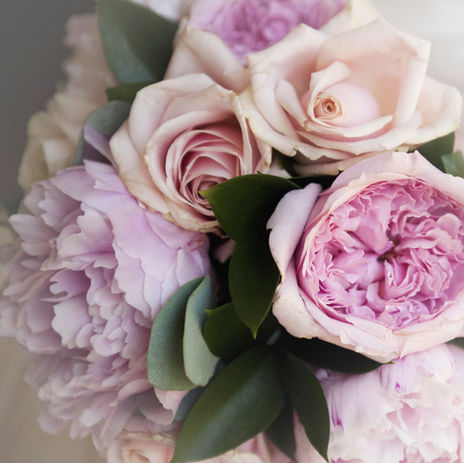 purple flowers